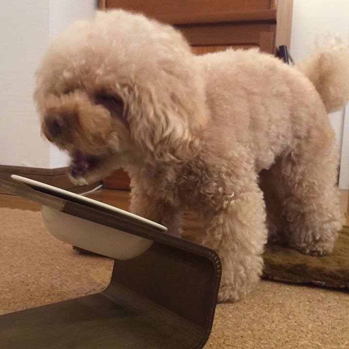 1476c46a 9089 405c a6b7 d752d8bbafae