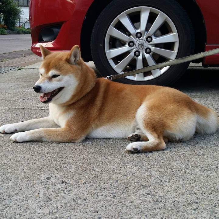 1476e464 71af 4d2e aab8 5f16b5a37826