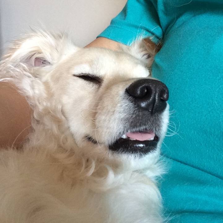 1477342e 2d25 45ef 87fe 54ec8f383006