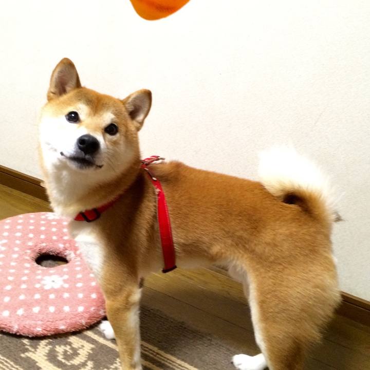 1477f306 f8ed 43a9 b869 e3d8ffa8618b