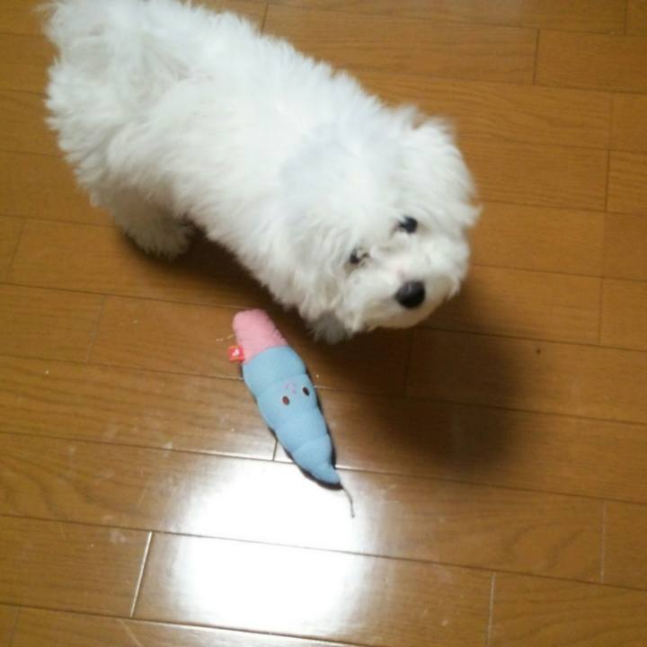 147824eb 2d0b 42c0 b173 cd002a65d2c3