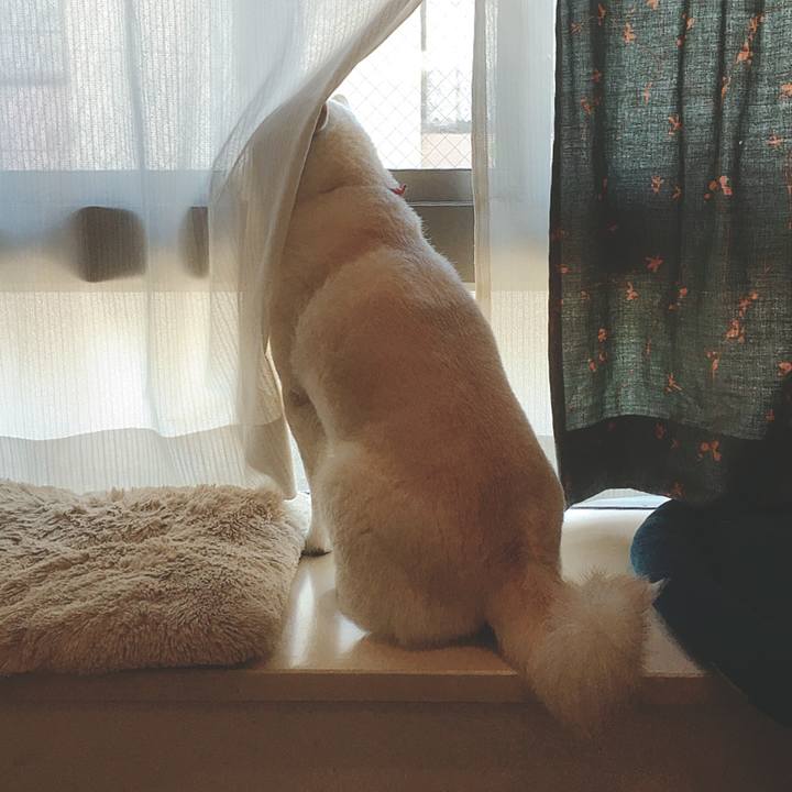 14784ad1 75da 4a45 ba33 b3e3cecc1557