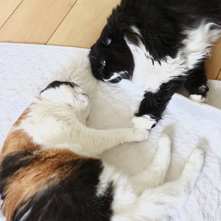 14787af0 04f1 45a3 8b2e 0cfd990516a9