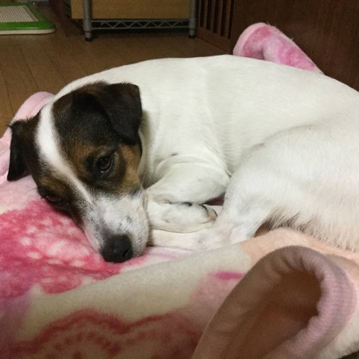 14789f9f c388 4971 bb71 d92ad0dc2ab5