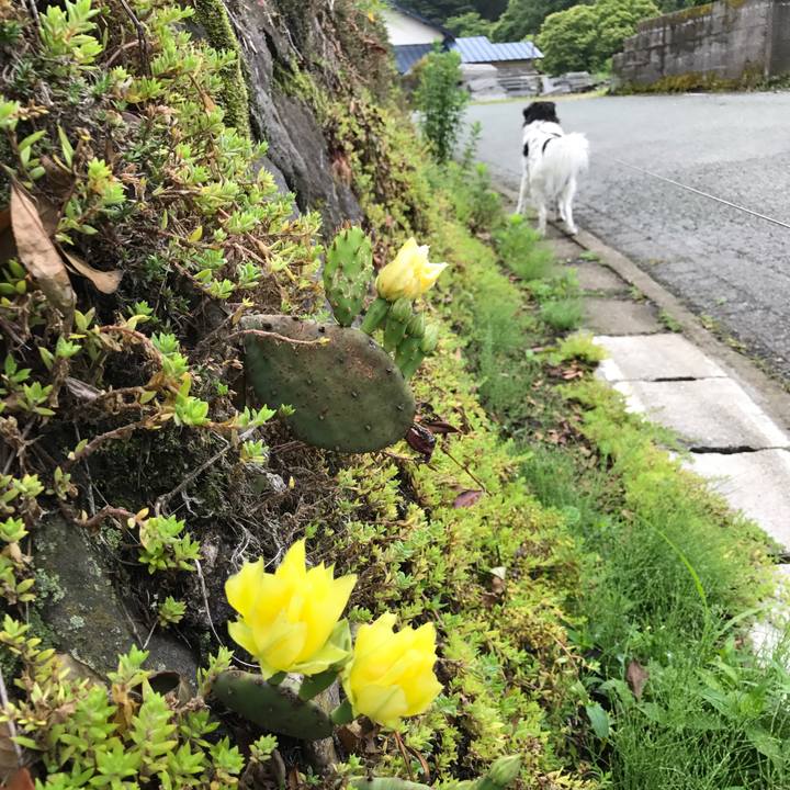 1479383b 6d29 4884 9f56 cc61e1f16fa3