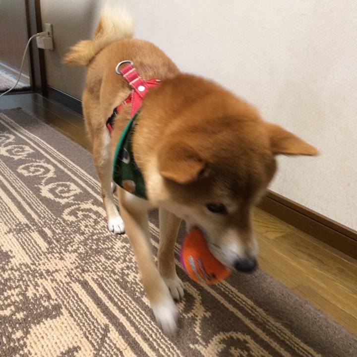 1479a79e b738 4d4c adb0 34fad586649b