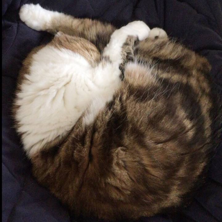 1479cb56 de3f 4fa6 9fff 6745a72bc4f2