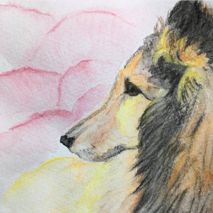 147b01c9 f098 428b 86d7 09b32cad7f08