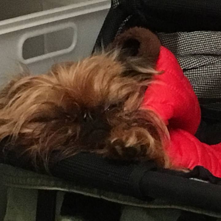 147b1910 d02a 4cdc 92be 30ce6e20ebca