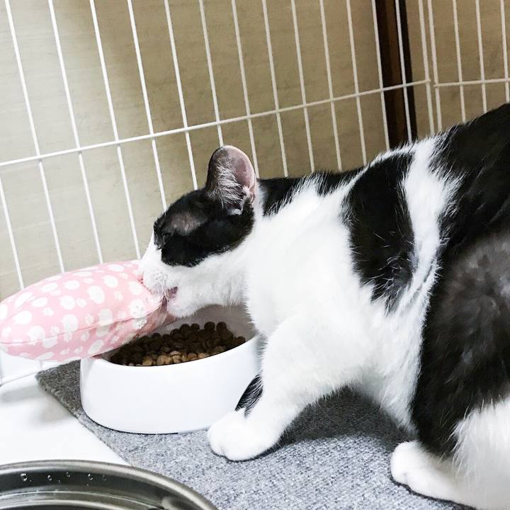 147b4ea3 d4b2 440a 812a 898d11302141