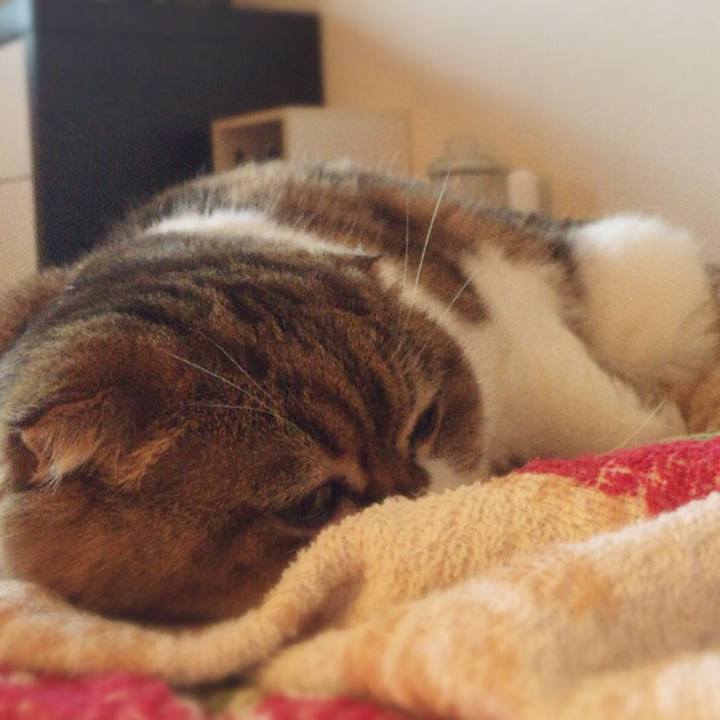 147c436f cb34 4ce8 838e 2aecdb7f7e82