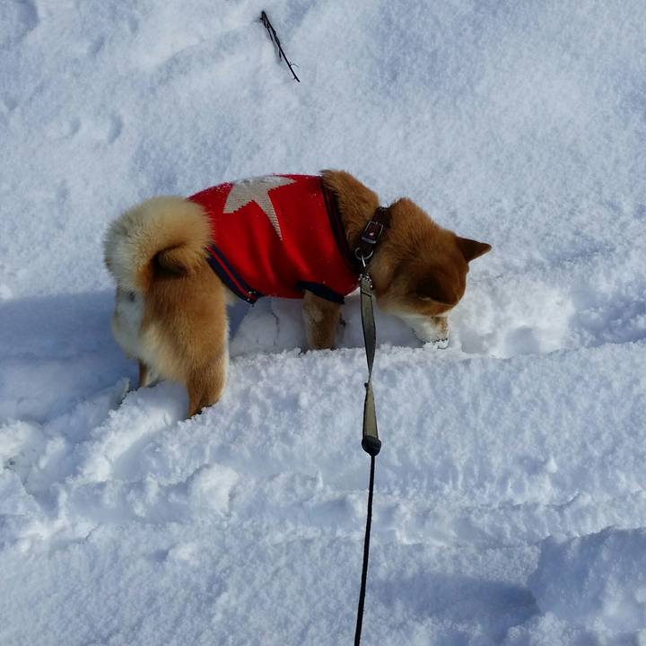 147c5009 1202 46bc b94b 7ca72689437c