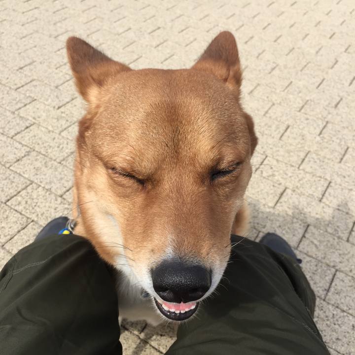 147c5577 a5e9 4431 82b5 59511526cbf7