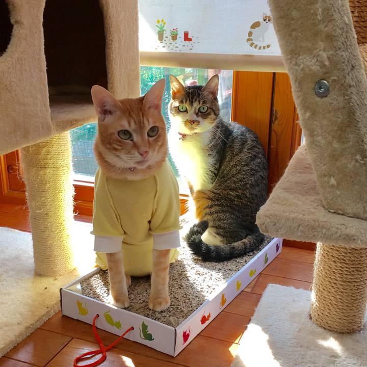 147c9dba 5fb2 478c 8797 20cbb6c32fa0