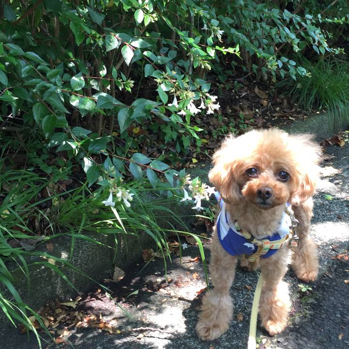 147ccffa d58b 42fd ace6 abaf5f026332