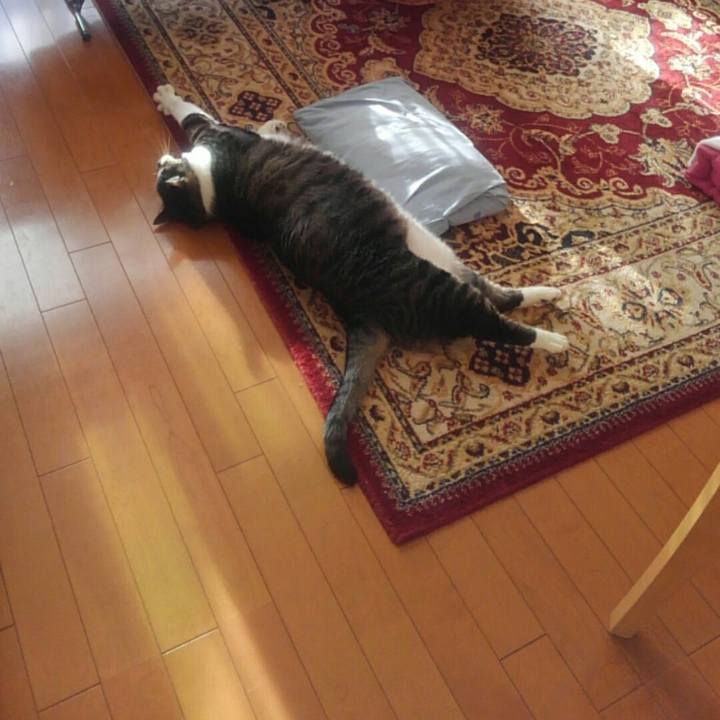 147cd757 1d1d 4010 ac35 019705c678b2