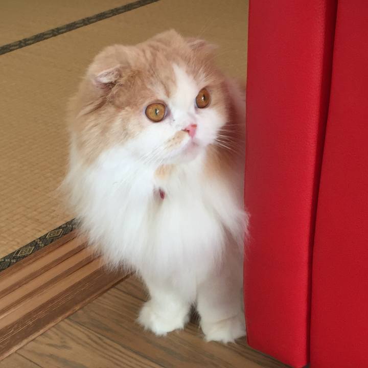 147cf5bf b9f5 4150 9f21 30d677ec9bb0