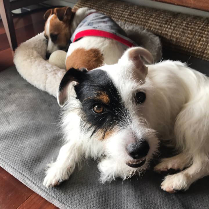 147d2650 2599 4154 bad6 73d7a6c0407d