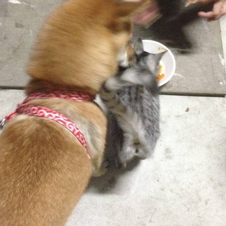 147d2b59 9d7c 4ba3 89c2 dd79dae7e93e