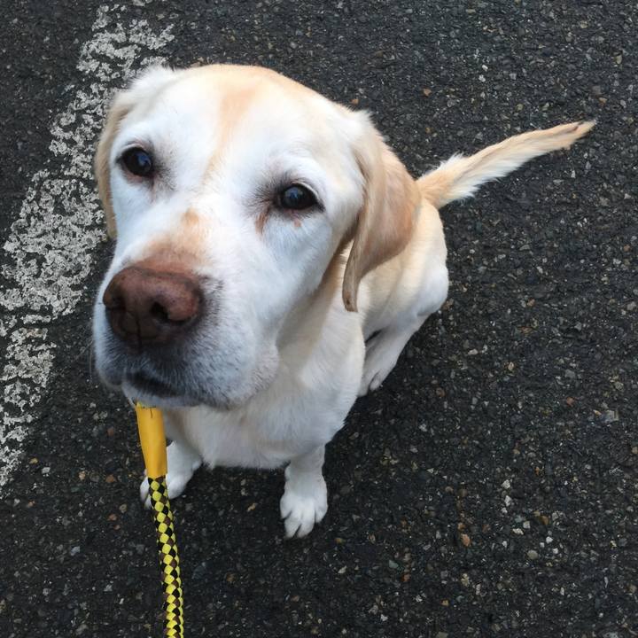 147d493b 9575 45d2 a22c ccf91e1e3e9e