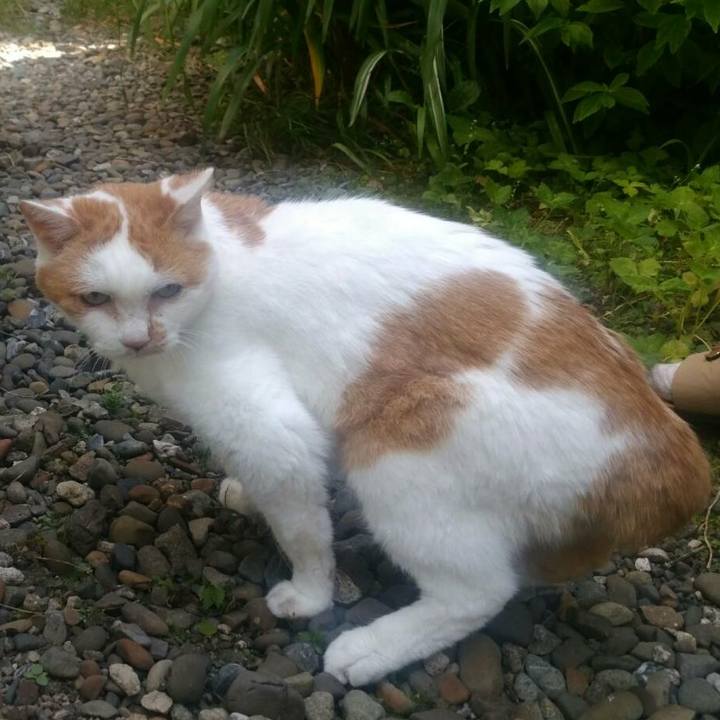 147defa1 3a71 455f 842c 77d14643b037