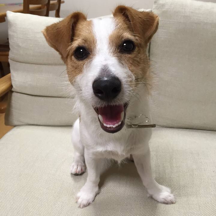 147e964d d93b 441e aa76 aea37805af90