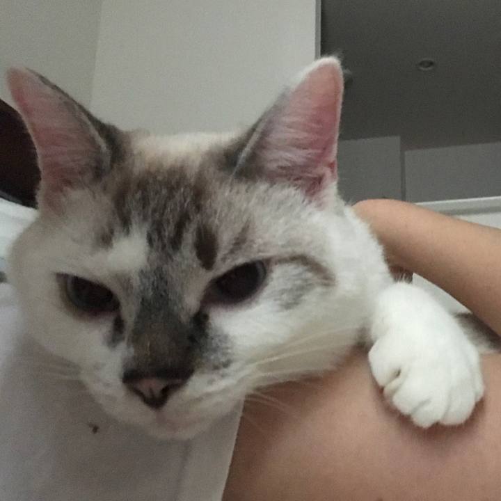 147eda97 19a3 4cf0 986e e2f7d31d0373