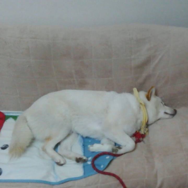 147eeebf 38e7 42fb 81ef 1e6ce5a3a902