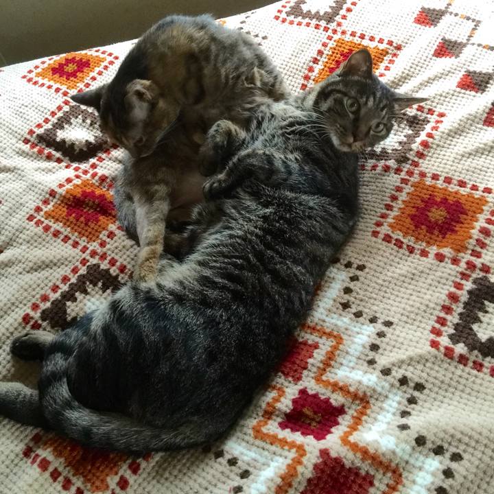 147f49be 920d 4ad0 b1de 1b1a18c7fdd3