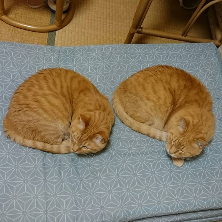 1480b13b d4bc 4b9e a3bf 21803b54f281