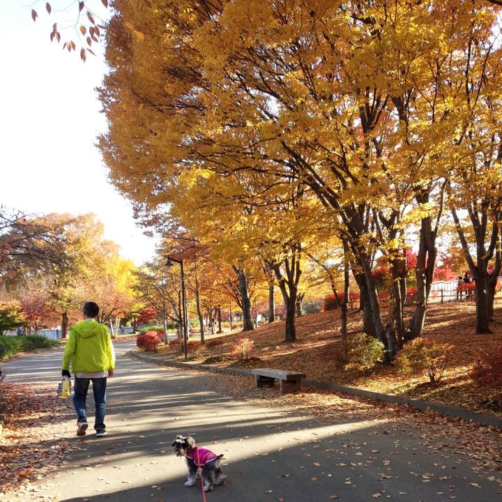 1480c7de 0a5d 4609 be53 e191650a96cb