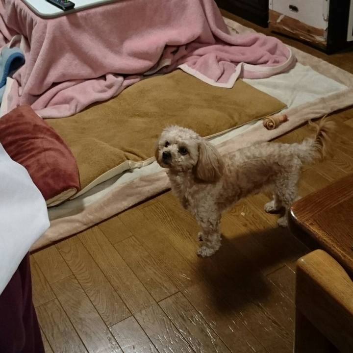 14819094 9fcd 4656 8b90 7554066a4d73