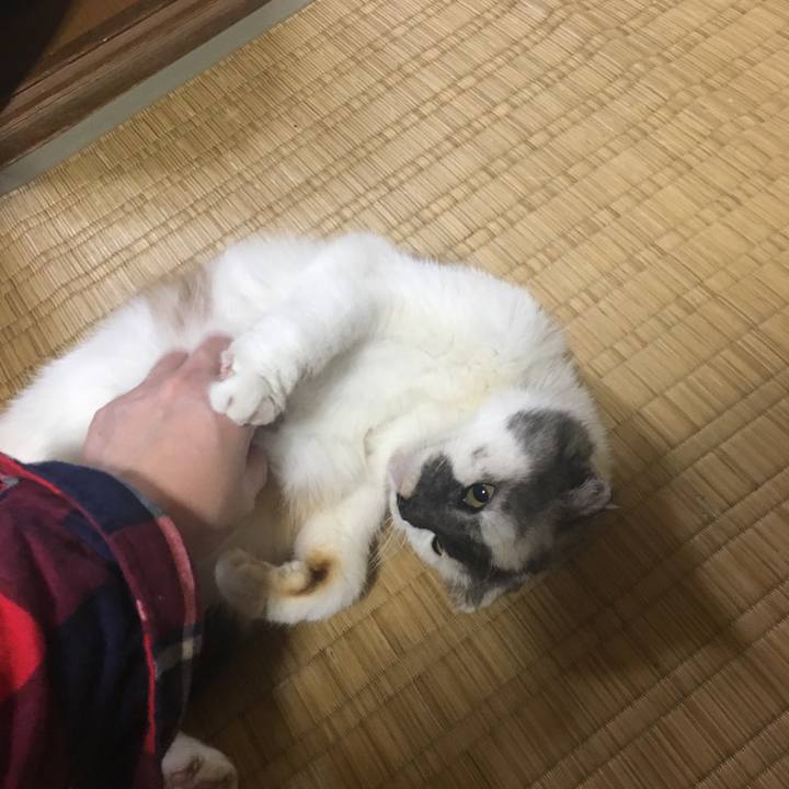 14821de8 d2bc 4b79 9fed 1658a324e15b