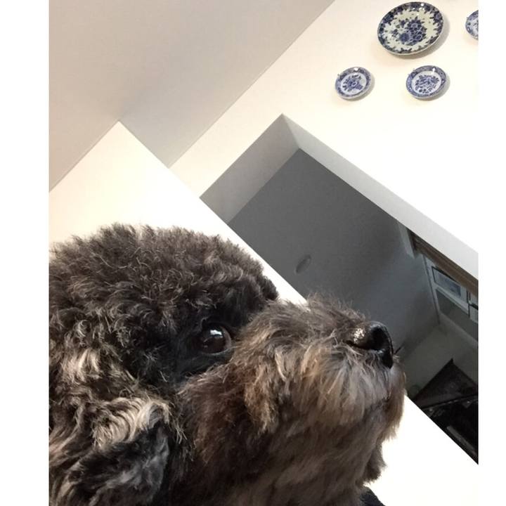 14826865 3489 4183 b530 5a5c1fbac0d9