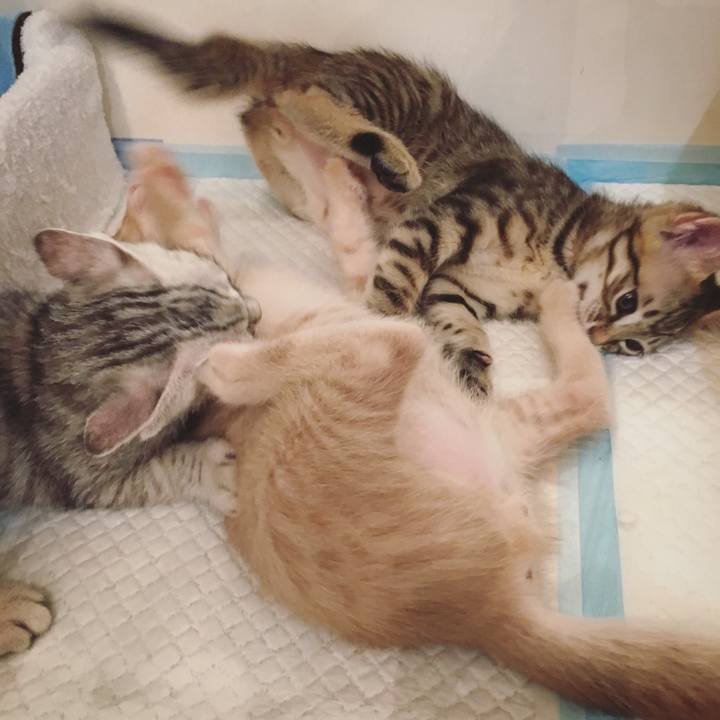 14835509 d7cc 4c59 9423 0b8225b1858b