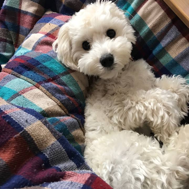 14838350 c3a5 4121 bfb7 63207f6dd057