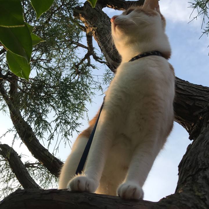 148387c0 3a3a 471c addf c5b8dbadc7dd