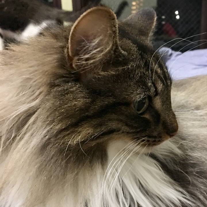 148410a0 54e9 4aac bad2 ad128c23bd70