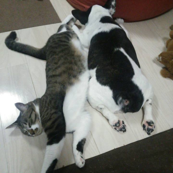 14841e38 eec9 49c0 ace1 260d81bd49ab