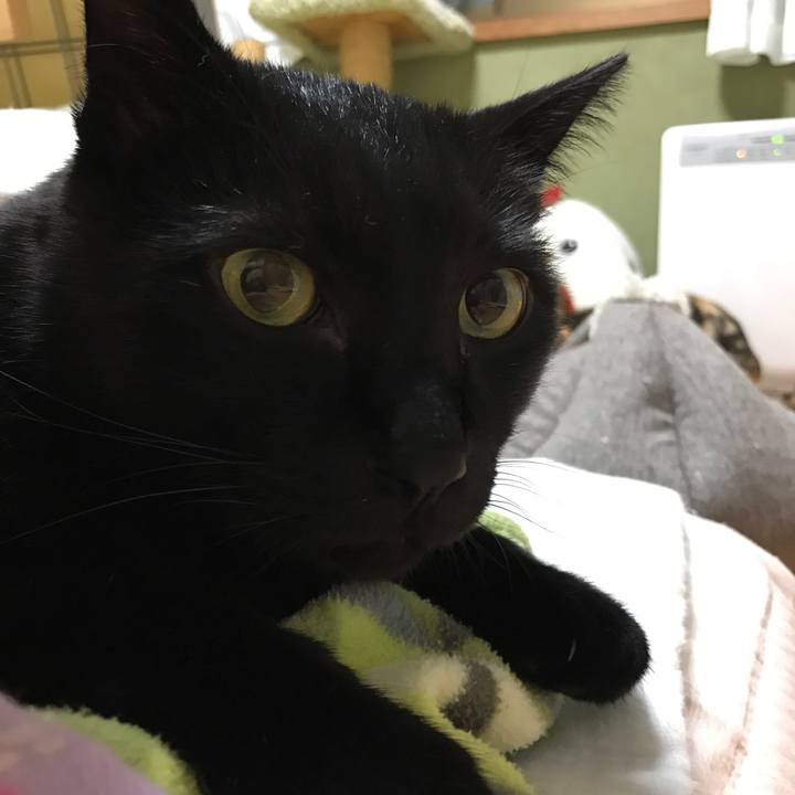 14849465 35fa 408b a125 d440c6135da8