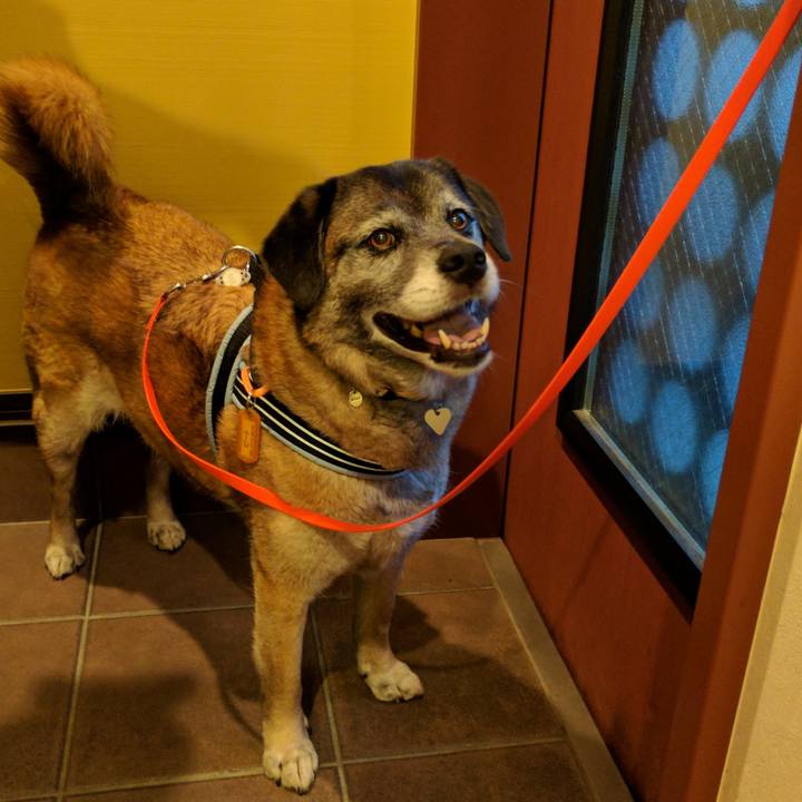 14856d61 f653 43b2 a3fe b869cce5a451