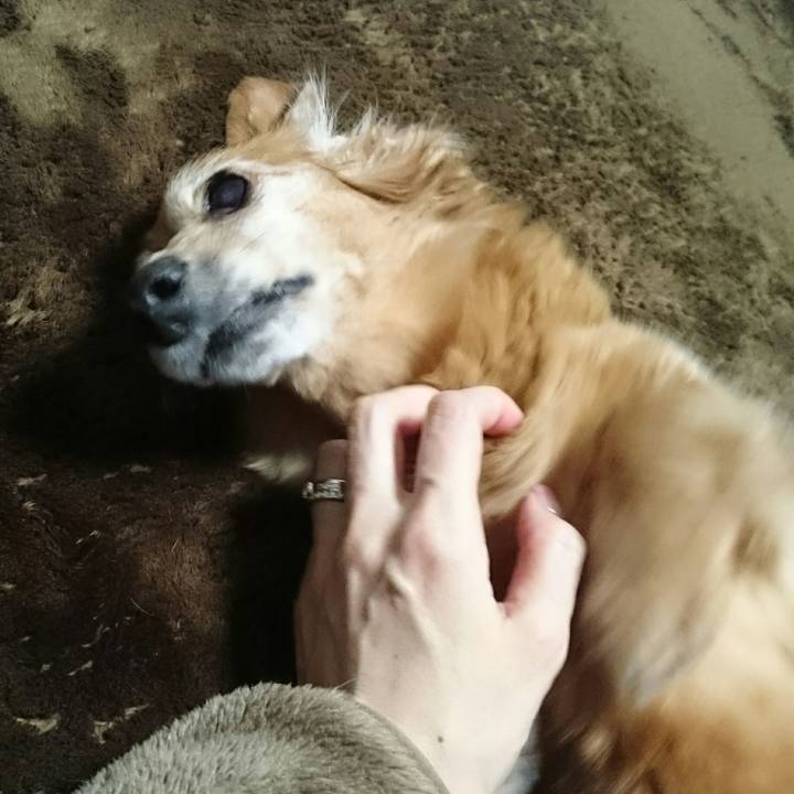 148575b5 117b 4b0a a110 2b64312ef7a1