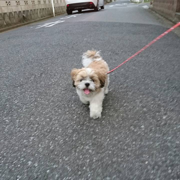 1485e841 eb83 46b1 bae2 9eaea38b014e