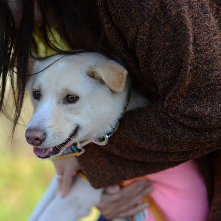 1485f59e c163 42ca 95a5 96e52063a55d