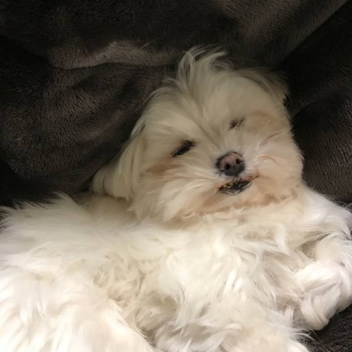 1486b185 3ee5 4957 b715 35258c3976ab