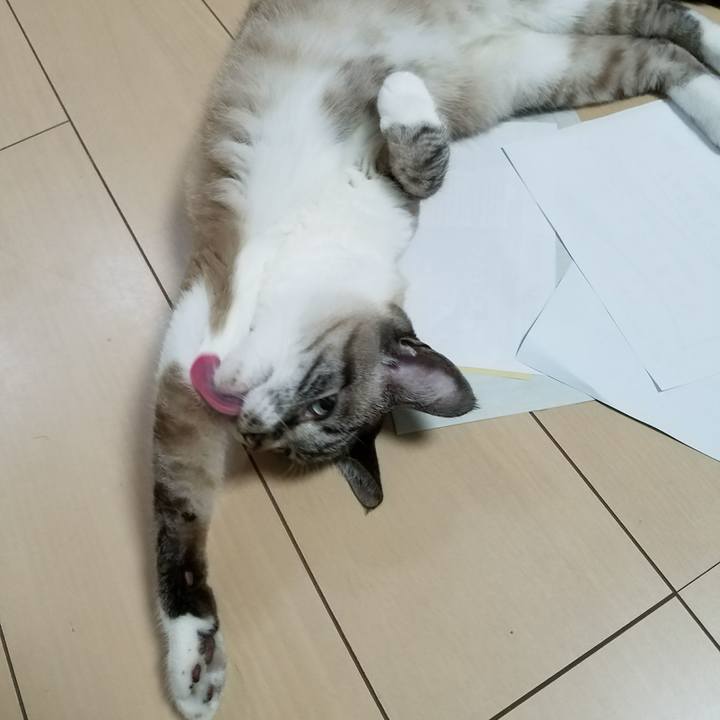 1486d021 c53e 402a a86a 4f5db798a29a