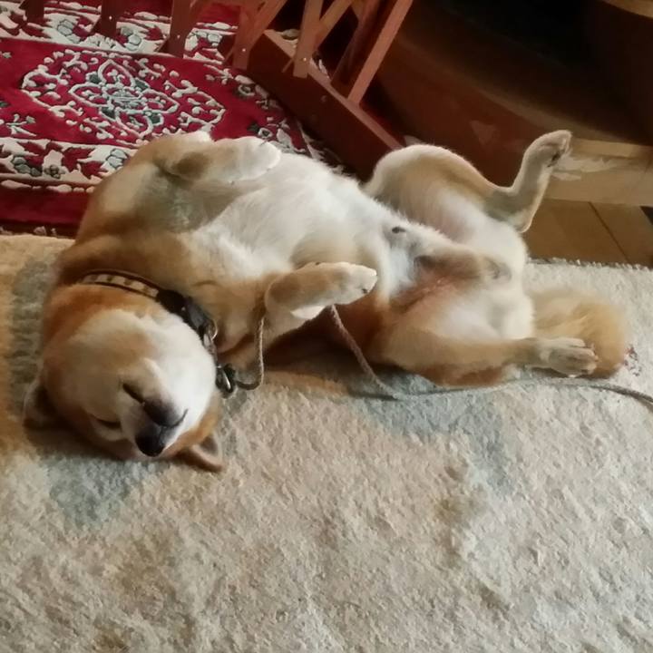 14871415 8bc1 4298 a20f 0e7fb614682e