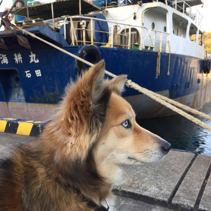 14875672 cd48 41a6 a8f1 e963607f6f6c