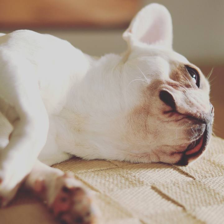 14879b71 0931 417f b269 c1dff38f584d