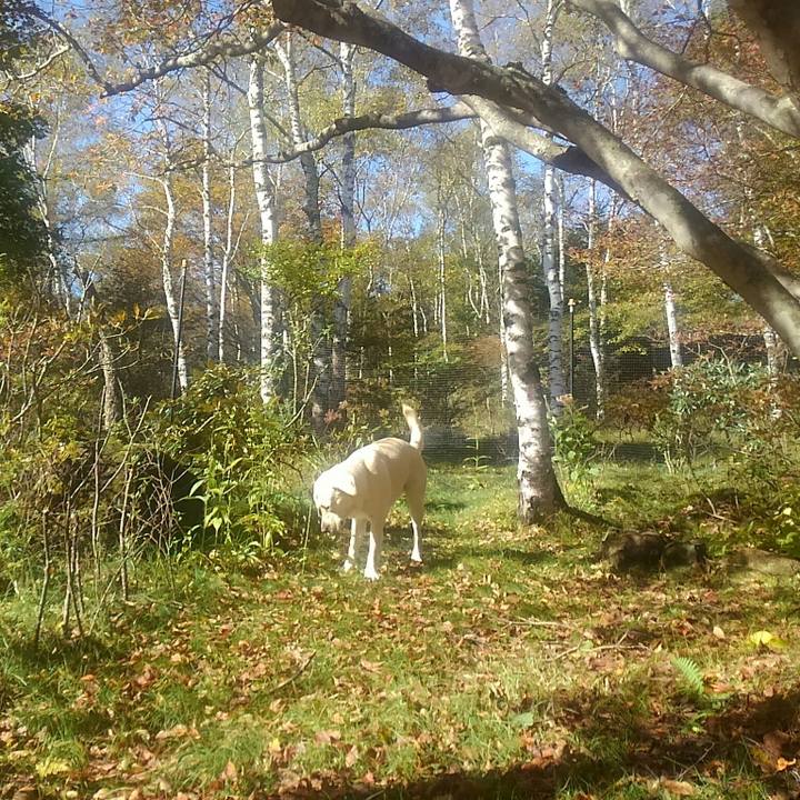 148919f3 a94b 4de2 8cf3 57058a6a3f47